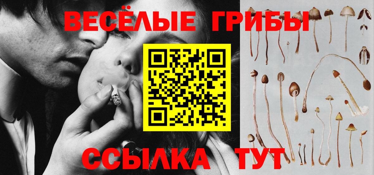 закладки  Вход с VPN  Люберцы  Псилоцибиновые грибы Magic Shrooms 